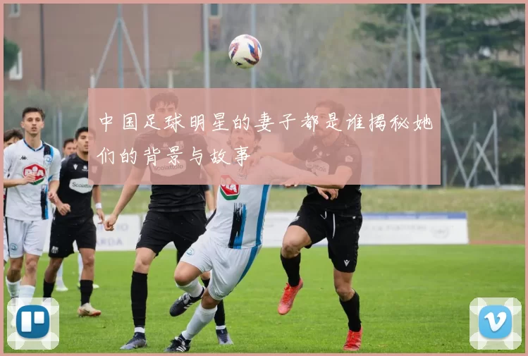 中国足球明星的妻子都是谁揭秘她们的背景与故事