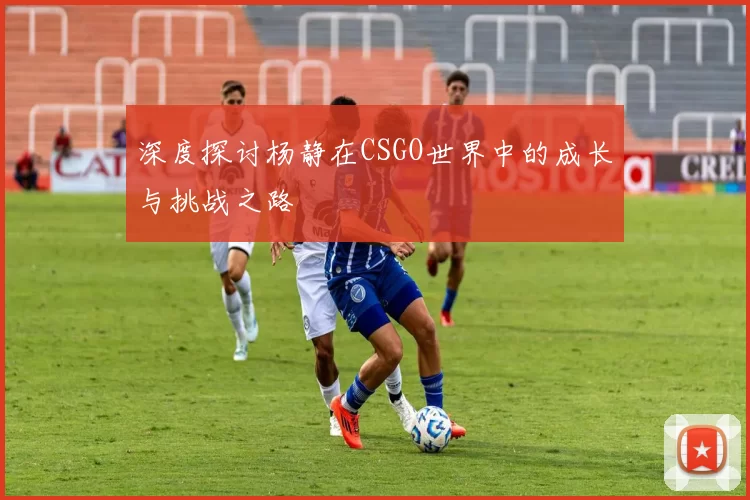 深度探讨杨静在CSGO世界中的成长与挑战之路