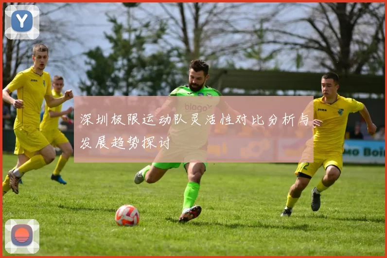 深圳极限运动队灵活性对比分析与发展趋势探讨