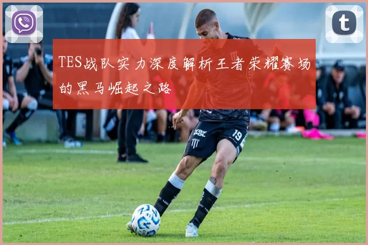 TES战队实力深度解析王者荣耀赛场的黑马崛起之路
