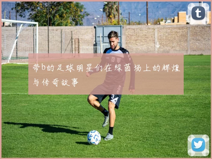 带b的足球明星们在绿茵场上的辉煌与传奇故事
