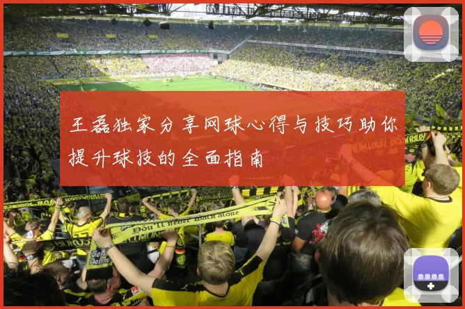 王磊独家分享网球心得与技巧助你提升球技的全面指南