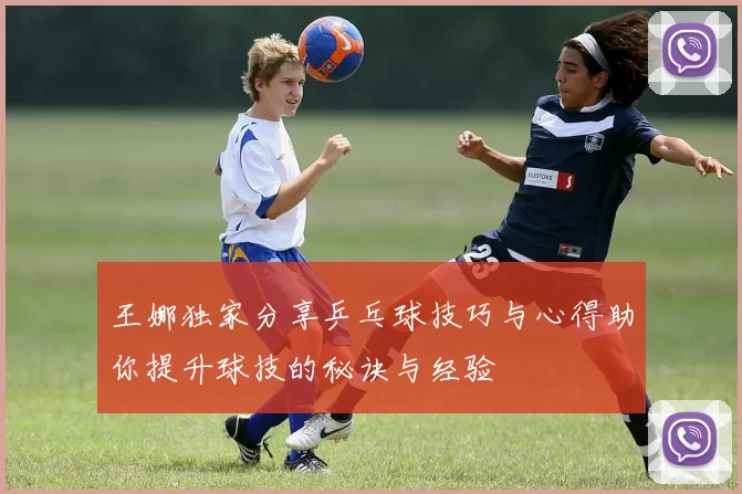王娜独家分享乒乓球技巧与心得助你提升球技的秘诀与经验