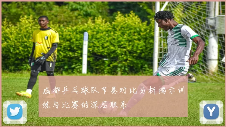 成都乒乓球队节奏对比分析揭示训练与比赛的深层联系