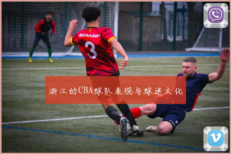浙江的CBA球队表现与球迷文化