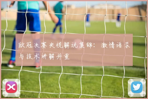 欧冠决赛央视解说集锦：激情语录与技术讲解并重
