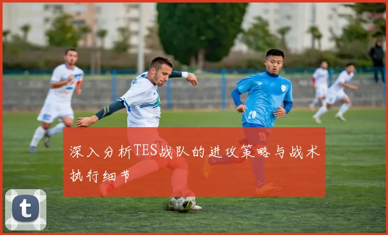 深入分析TES战队的进攻策略与战术执行细节
