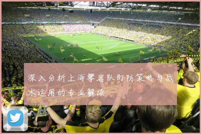深入分析上海攀岩队盯防策略与战术运用的专业解读
