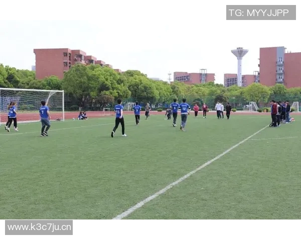 深圳飞盘队状态分析与表现评估探讨及未来发展方向